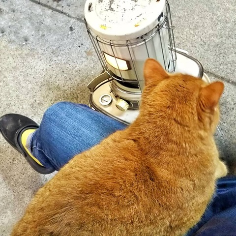 IMG_20200119_004650_419