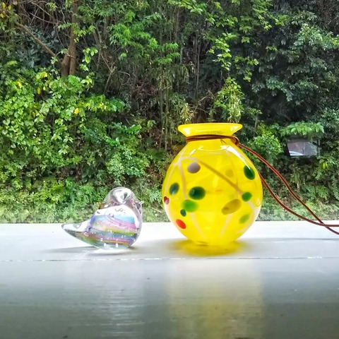 IMG_20211016_182742_210