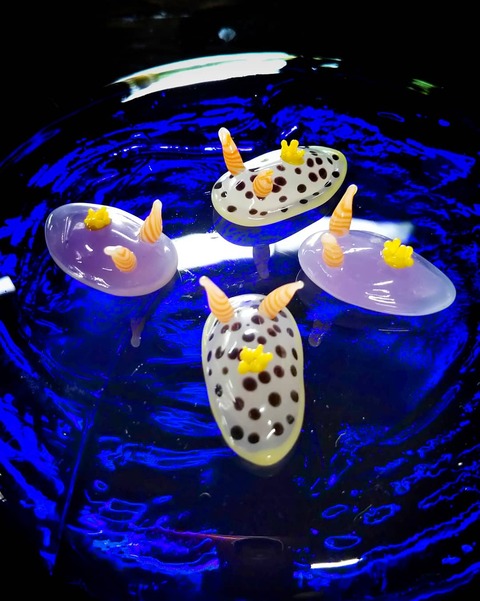 IMG_20210627_211731_344