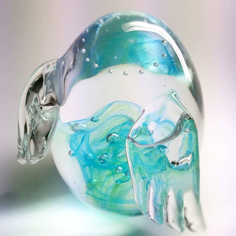 IMG_20200111_231853_465