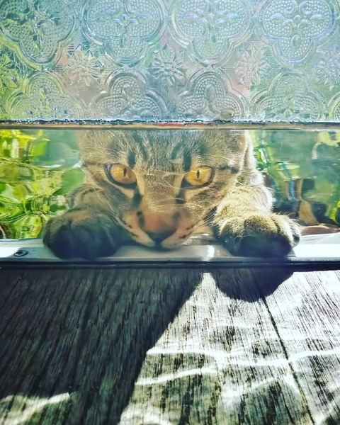 IMG_20211204_233223_062