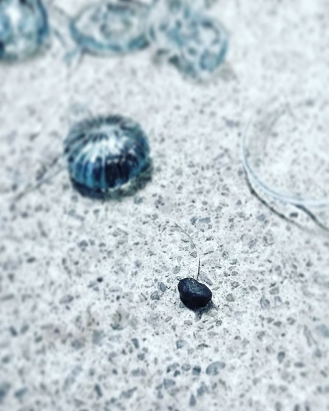 IMG_20190215_133226_798