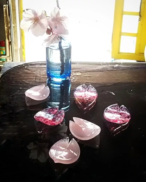 IMG_20220130_002627_543