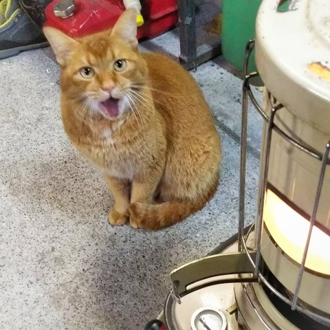 IMG_20200119_004650_374