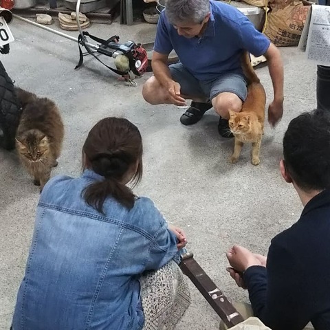 IMG_20190528_103515_633