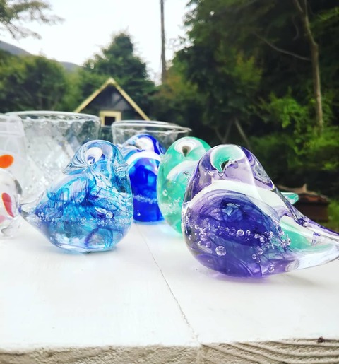 IMG_20210612_165501_462