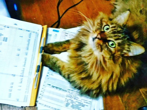 IMG_20190210_005901_681