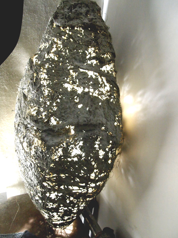 P4128115