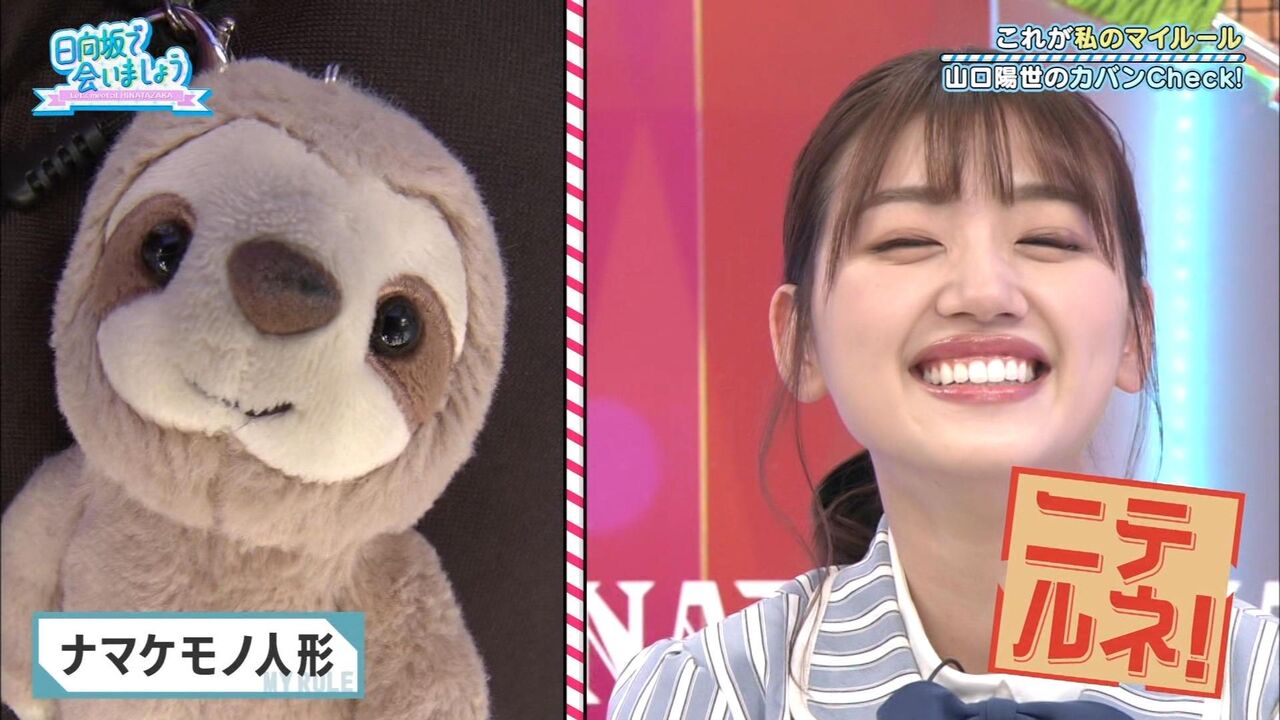 日向坂46 ナマケモノに似ているみーぱんが可愛いｗｗｗｗｗｗｗｗｗｗ 日向坂46まとめ 日向速報