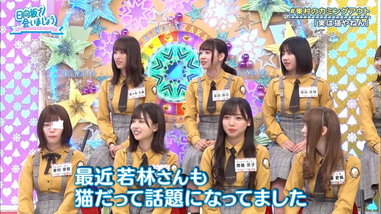 日向坂46 若林激似の猫について ひなあいで触れるｗｗｗｗｗｗｗｗｗｗｗｗｗ 日向坂46まとめ 日向速報