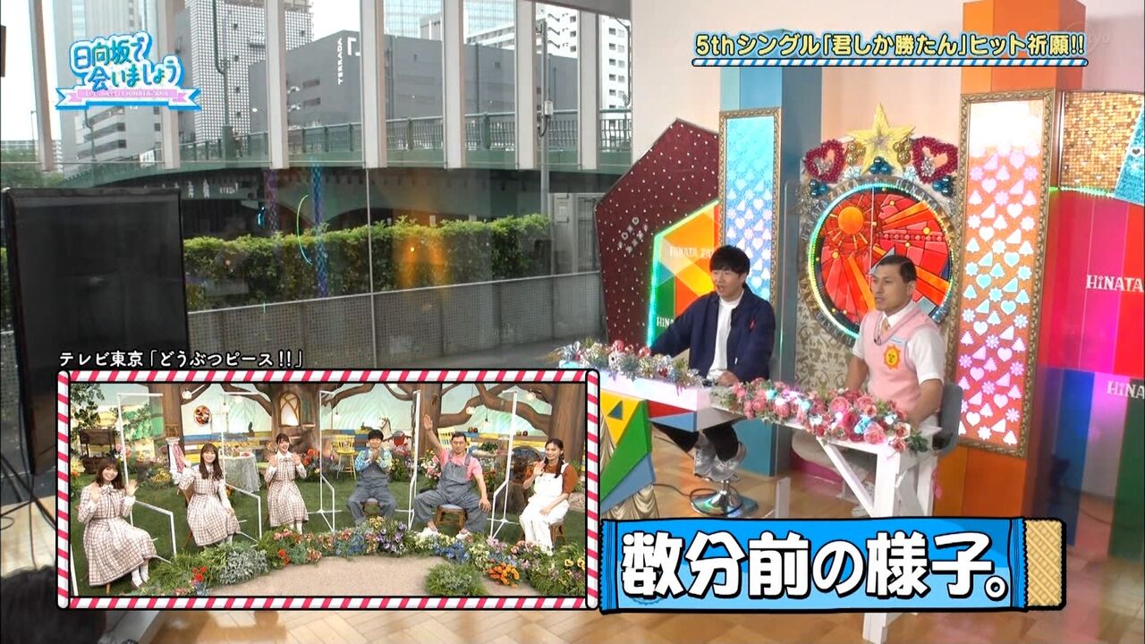 日向坂46 オードリー若林の口から初出情報ｗ どうぶつピース 出演決定 坂道まとめ速報