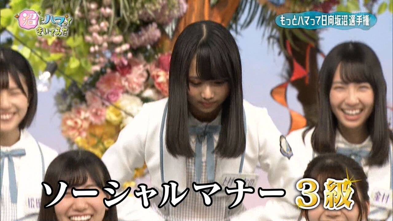 日向坂46 再放送にて 伝説のソーシャルマナー３級が再び 日向坂46まとめ 日向速報