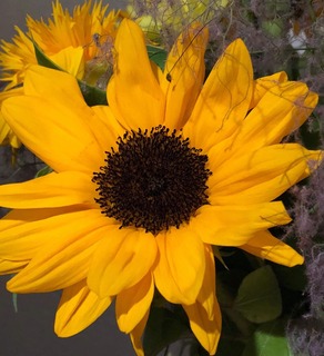 186D9D89-9FD4-4E19-8312-F3C9CDC5E4EC