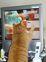 �ƥ�Ӥ����Υȥ�����