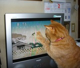 ����ȤƤ��󡡥ȥ�����