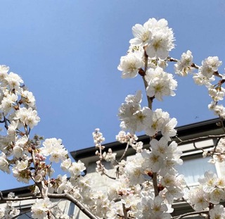 636040AE-64FC-4D59-BE63-11A34FA53224