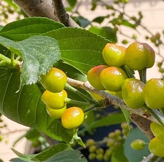 4F1E7289-9F12-4001-B950-ABBF4C41218C