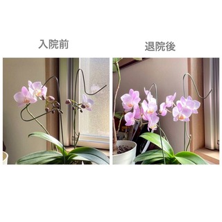 52FA2908-F20A-420A-B807-9998665DE7DD