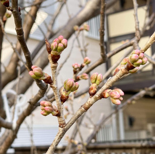 6FE8F466-23DE-4F91-88BC-BDA200D660ED