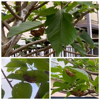 BD223ACD-8E36-49CC-9F28-4AE2D5A33440