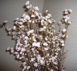 �������㣳��