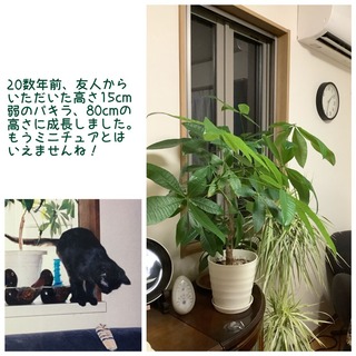 98E30189-D989-46C3-AFB6-5328784ECAE2