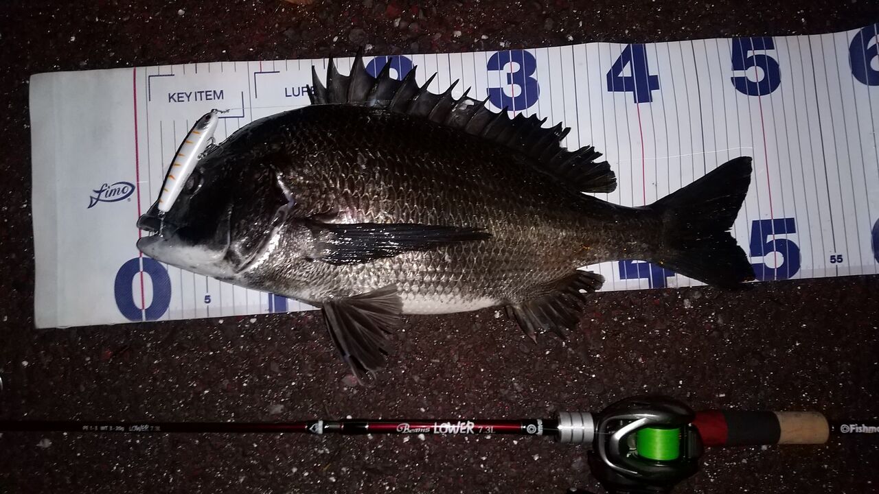 ビームスローワー7.3L フィッシュマン　ベイトシーバスチニングフィネス ビームスローワー7.3L フィッシュマン ベイトシーバスチニングフィネス