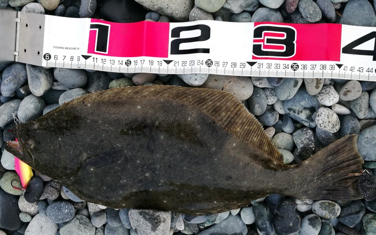 超絶簡単 手軽にルアーで魚を釣ろう 三度の飯より釣りが好き 超絶簡単 手軽にルアーで魚を釣ろう 三度の飯より釣りが好き