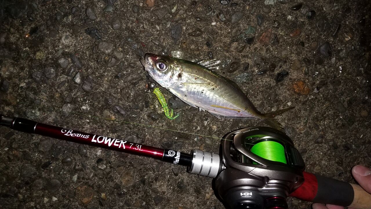 Fishman LOWER7.3イクアリティ ローワー7.3 （トップチヌに最適
