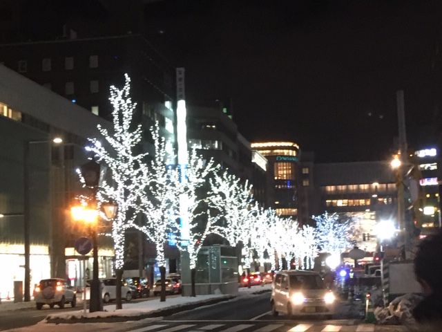 札幌ホワイトイルミネーションとクリスマスデイナー ランチ Diary Of Man S Own Cooking 札幌ホワイトイルミネーションとクリスマスデイナー ランチ Diary Of Man S Own Cooking