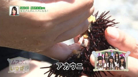 musume_haramina_cap_18