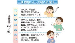 低血糖 時空の旅人 低血糖 時空の旅人