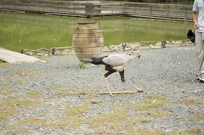 会心の一撃 会心の一撃
