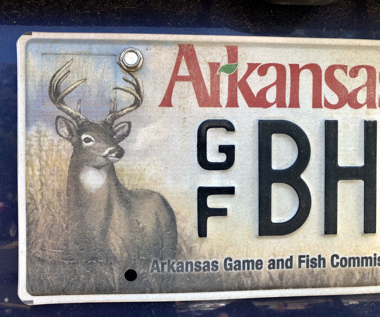 よりどりみどりなナンバープレート : 吾閑荘（あかんそう）だより