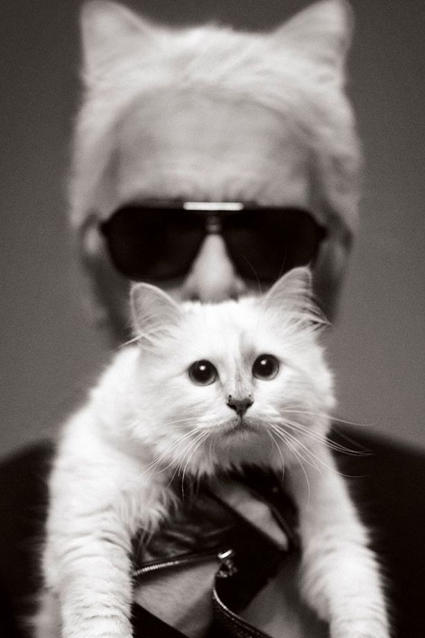 カール・ラガーフェルドとお洒落なシュペットちゃん : 吾閑荘（あかん