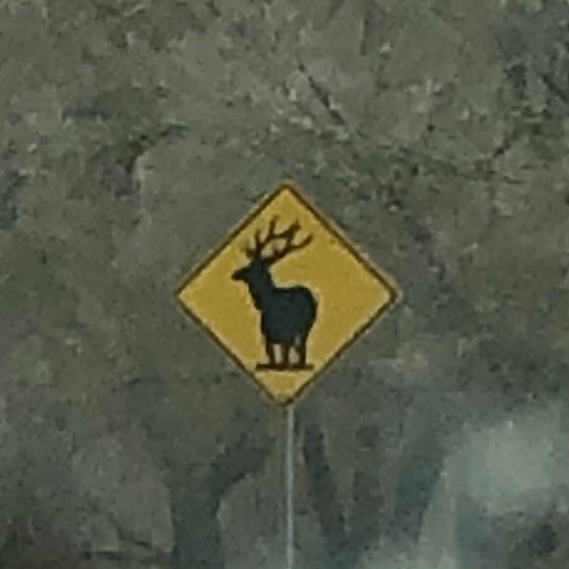 意外と難しいんです 吾閑荘 あかんそう だより