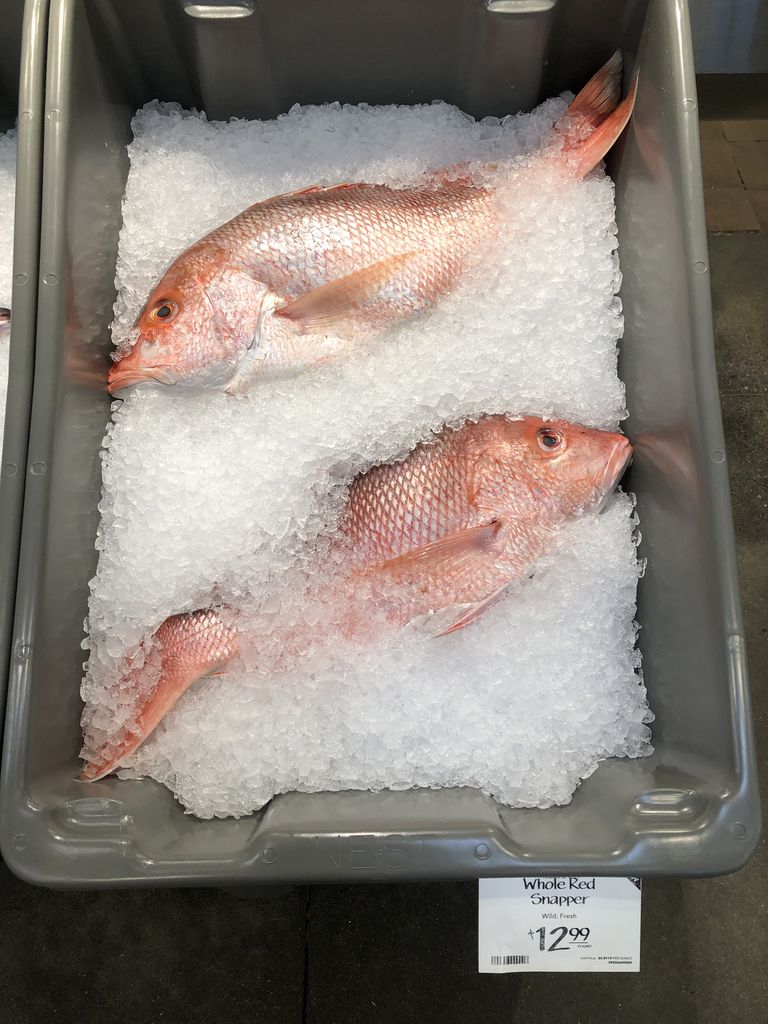まな板の上の鯛 吾閑荘 あかんそう だより まな板の上の鯛 吾閑荘 あかんそう だより