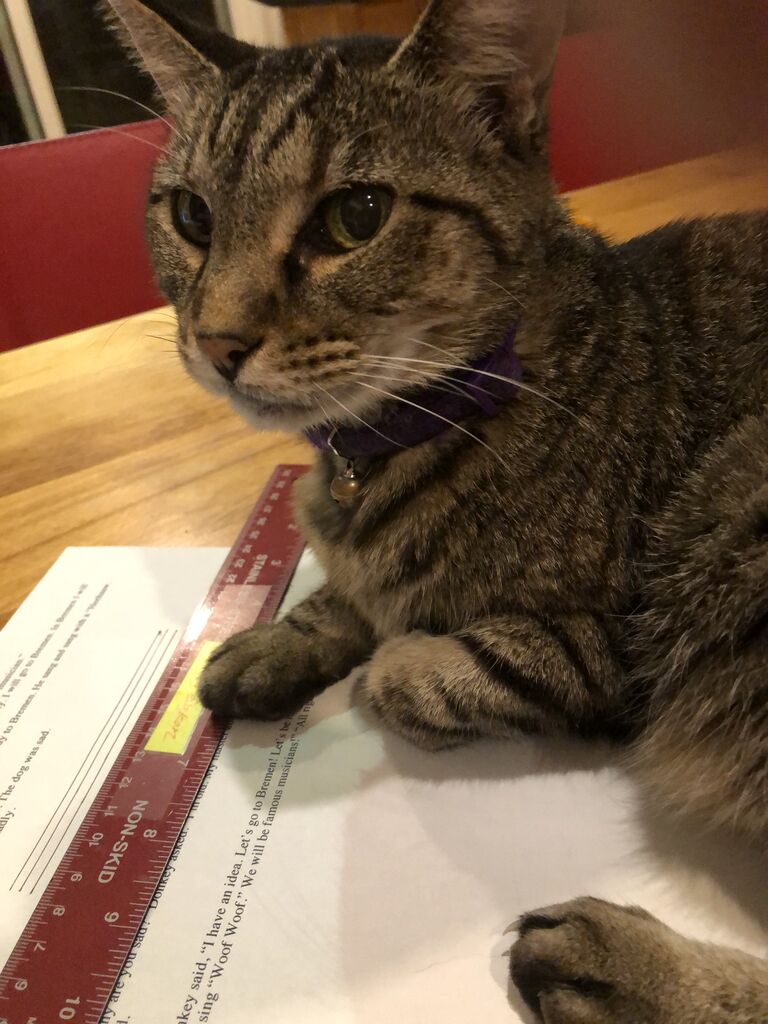 私 お手伝いしてあげてるの ティティの嫌いなもの 吾閑荘 あかんそう だより