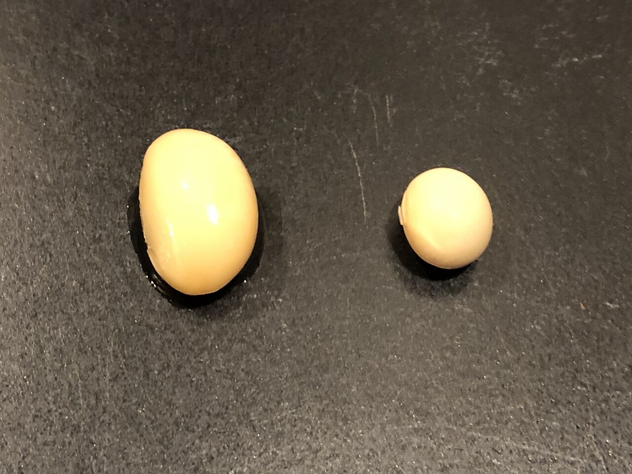 今日の主役は 吾閑荘 あかんそう だより 今日の主役は 吾閑荘 あかんそう だより