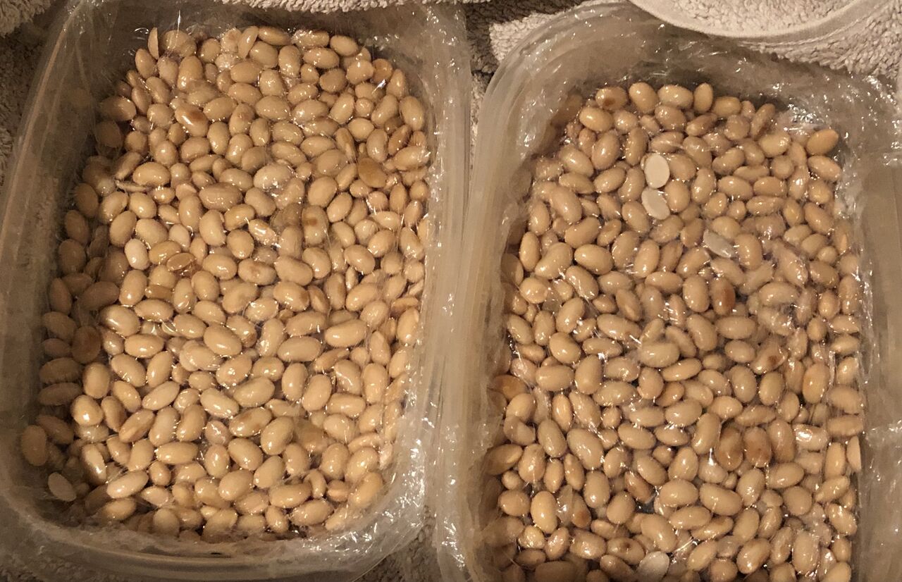 今日の主役は 吾閑荘 あかんそう だより 今日の主役は 吾閑荘 あかんそう だより