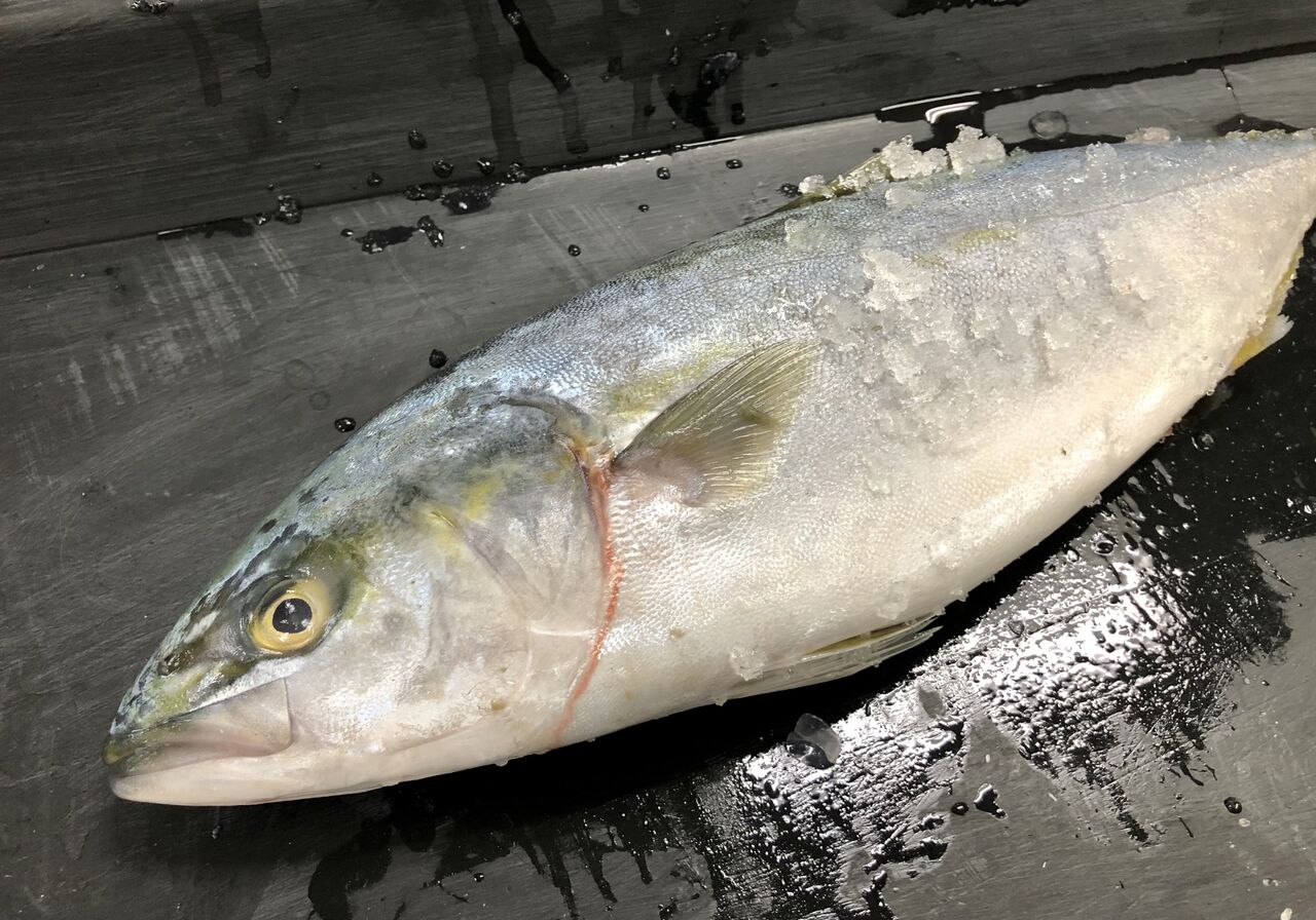 アーカンソーで 出世魚を手に入れたよ 吾閑荘 あかんそう だより