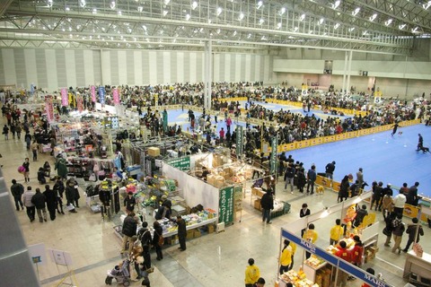 IMGP3788