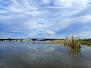 PA263596