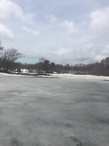 17990973_1350257441733116_948131251768084167_n