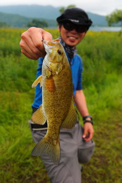 2016-04_hibarako_030