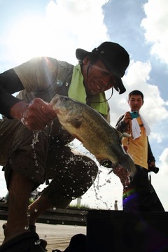 2012FBI_5_ushiku_0067