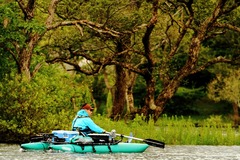 2014-4_Hibara_047 (1280x853)