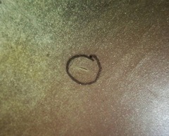 12523187_924579617633287_1808900739477769533_n