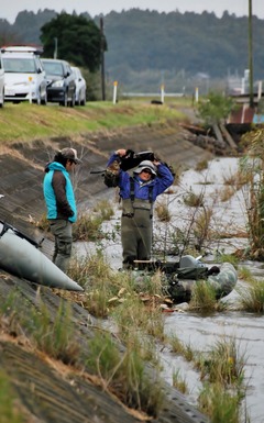 DSC_0431 (1594x2560) (797x1280)