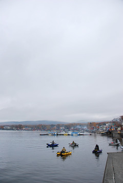 DSC_1848